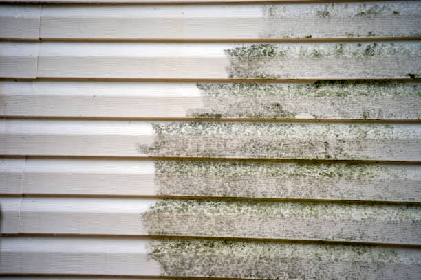 Best Demolition Debris Removal  in Gerdine, AL